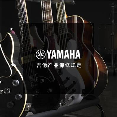 吉他、贝斯和音箱